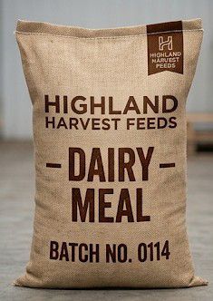 Dairy Meal